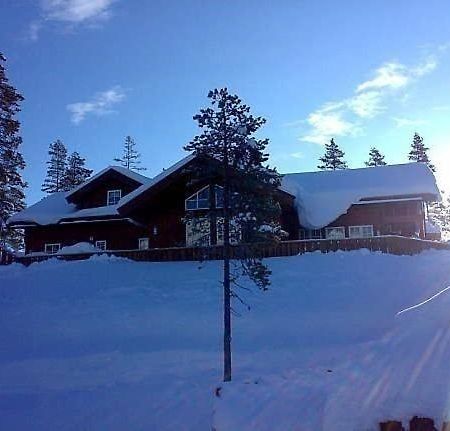Flott Utleiehytte Pa Gautefall Treungen Extérieur photo